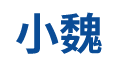 小魏神探